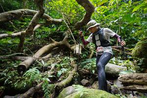 BIB: 
                            <button type="button" onclick="openModal(19407327)" class="btn btn-primary btn-sm float-right btn-popup" data-toggle="modal" data-target=".modal-high-quality">
                        <i class="fas fa-shopping-cart"></i> Add to Cart
                    </button>
                                            <button type="button" onclick="isThisMe(19407327, true)" class="btn btn-success btn-sm float-right btn-popup btn-isme hidden" data-toggle="tooltip" data-placement="bottom" title="นี่คือรูปของคุณใช่ไหม คลิกที่นี่เพื่อเอาเข้าอัลบั้ม">
                        <i class="fas fa-plus"></i> Add to album
                    </button>
                    <button type="button" onclick="isThisMe(19407327, false)" class="btn btn-warning btn-sm float-right btn-popup btn-isnotme hidden">
                        <i class="fas fa-ban"></i> Remove from album
                    </button>